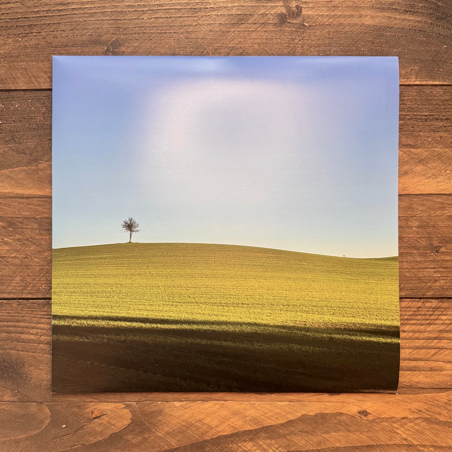 Dapayk Solo "Uberland" (UM02), blue vinyl, limited to 20 copies